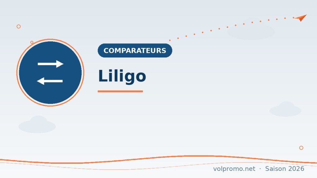Liligo : notre avis sur le comparateur multi-transports français